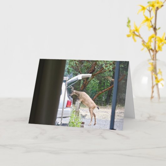 鹿！ カード (黄色い花)