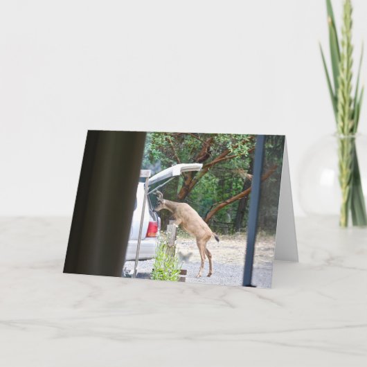 鹿! カード (正面)