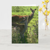 鹿 | カード (黄色い花)