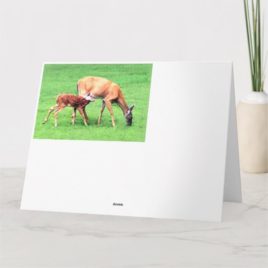 鹿 カード (裏面)