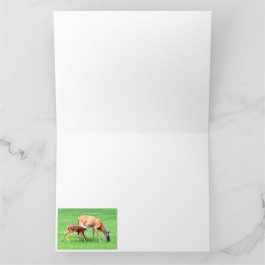 鹿 カード (内部)