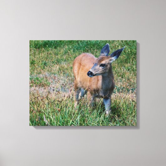鹿 –  キャンバスプリント (正面)