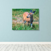 鹿 –  キャンバスプリント (インサイチュ (ウッドフロア))