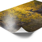 鹿 – グランドキャニオン国立公園 – アリゾナ フォトプリント            (角)