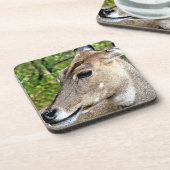 鹿 コースター (左側)