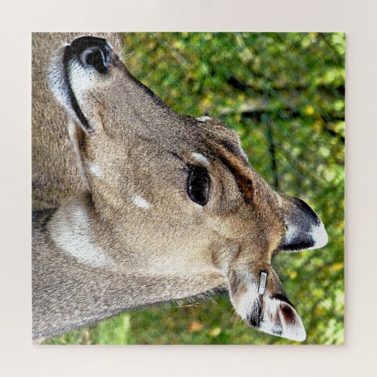 鹿 ジグソーパズル (横)