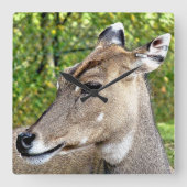 鹿 スクエア壁時計 (正面)