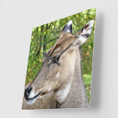 鹿 スクエア壁時計 (傾斜)