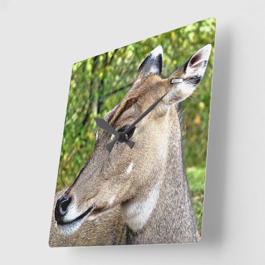 鹿 スクエア壁時計 (傾斜)