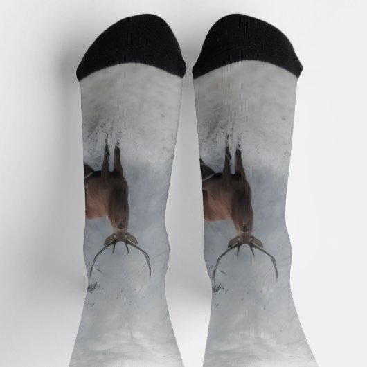 鹿 ソックス (上部)