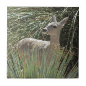 鹿 タイル (正面)