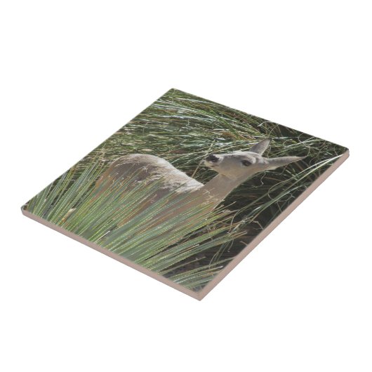 鹿 タイル (側面)