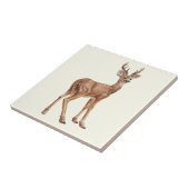 鹿 タイル (側面)