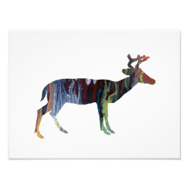 鹿 フォトプリント           