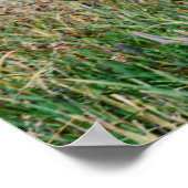 鹿 ポスター (角)