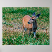 鹿 ポスター (正面)