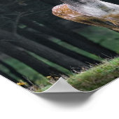 鹿 ポスター (角)