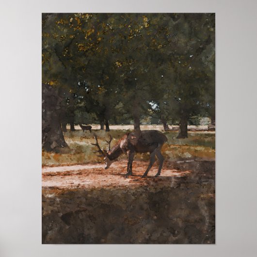 鹿 ポスター (正面)