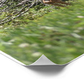 鹿 ポスター (角)