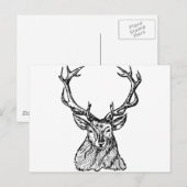 鹿 ポストカード (正面/裏面)