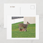 鹿 ポストカード (正面/裏面)