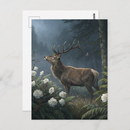 鹿 ポストカード (正面/裏面)