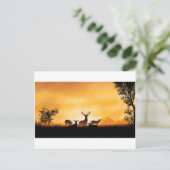 鹿 ポストカード (スタンド正面)