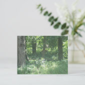 鹿 ポストカード (スタンド正面)