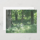 鹿 ポストカード (正面/裏面)