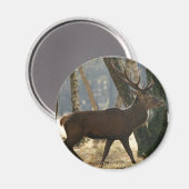 鹿 マグネット (正面/裏面)