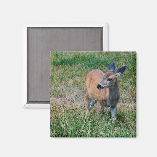 鹿 マグネット (正面/裏面)