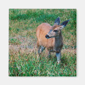 鹿 マグネット (正面)