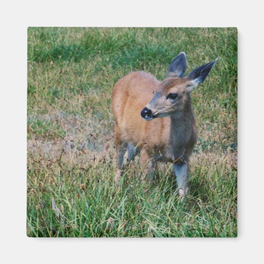 鹿 マグネット (正面)