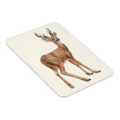 鹿 マグネット (右側)