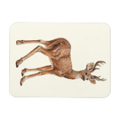 鹿 マグネット (横)