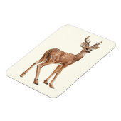鹿 マグネット (左側)
