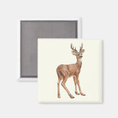 鹿 マグネット (正面/裏面)