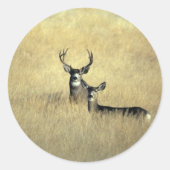 鹿 ラウンドシール (正面)