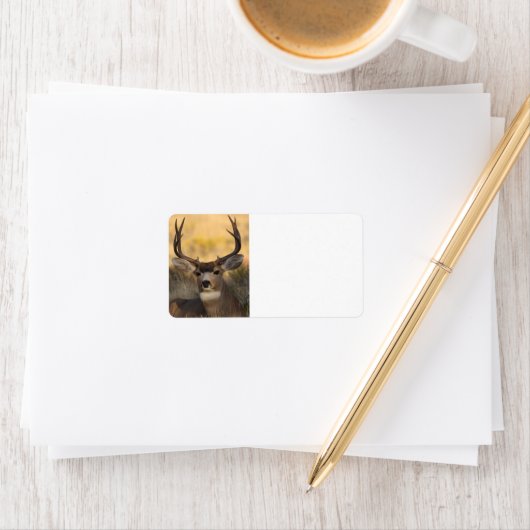 鹿 ラベル (インサイチュ)