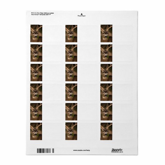 鹿 ラベル (フルシート)