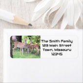 鹿 ラベル (インサイチュ)