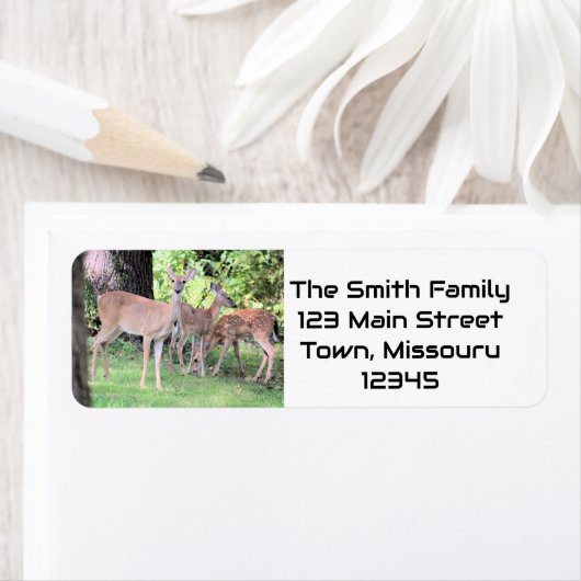 鹿 ラベル (インサイチュ)