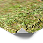 鹿、子鹿を日光の中で追う ポスター (角)