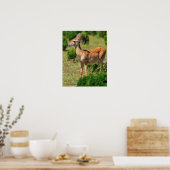 鹿、子鹿を日光の中で追う ポスター (キッチン)