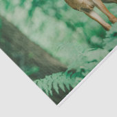 鹿 薄葉紙 (詳細)