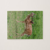 鹿、野外で鹿を休ませる ジグソーパズル (横)