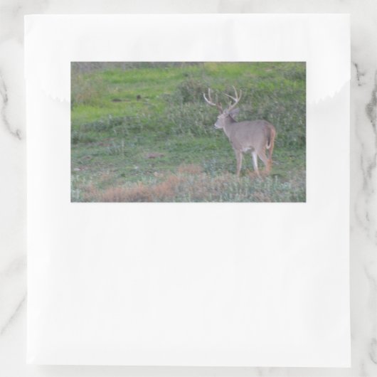 鹿 長方形シール (バッグ)