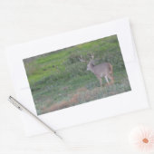 鹿 長方形シール (封筒)