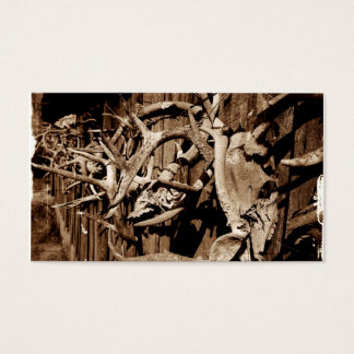 鹿〔雄ジカの〕枝角