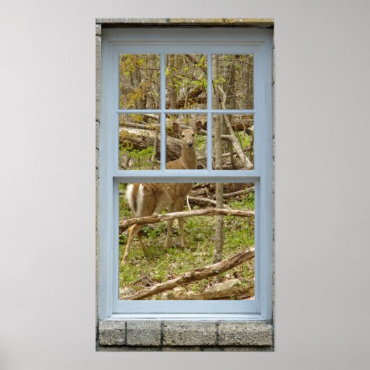 鹿Doeポスター外を見るウィンドウ ポスター (正面)